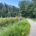 5 Sterne Alpenblick
