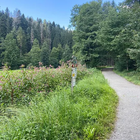 5 Sterne Alpenblick