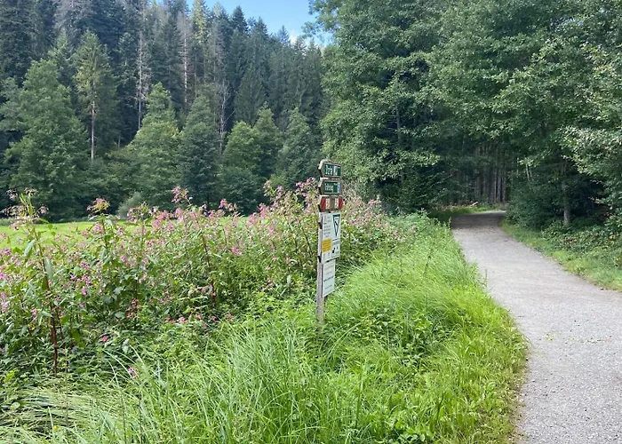 5 Sterne Alpenblick